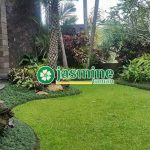 tukang taman bsd